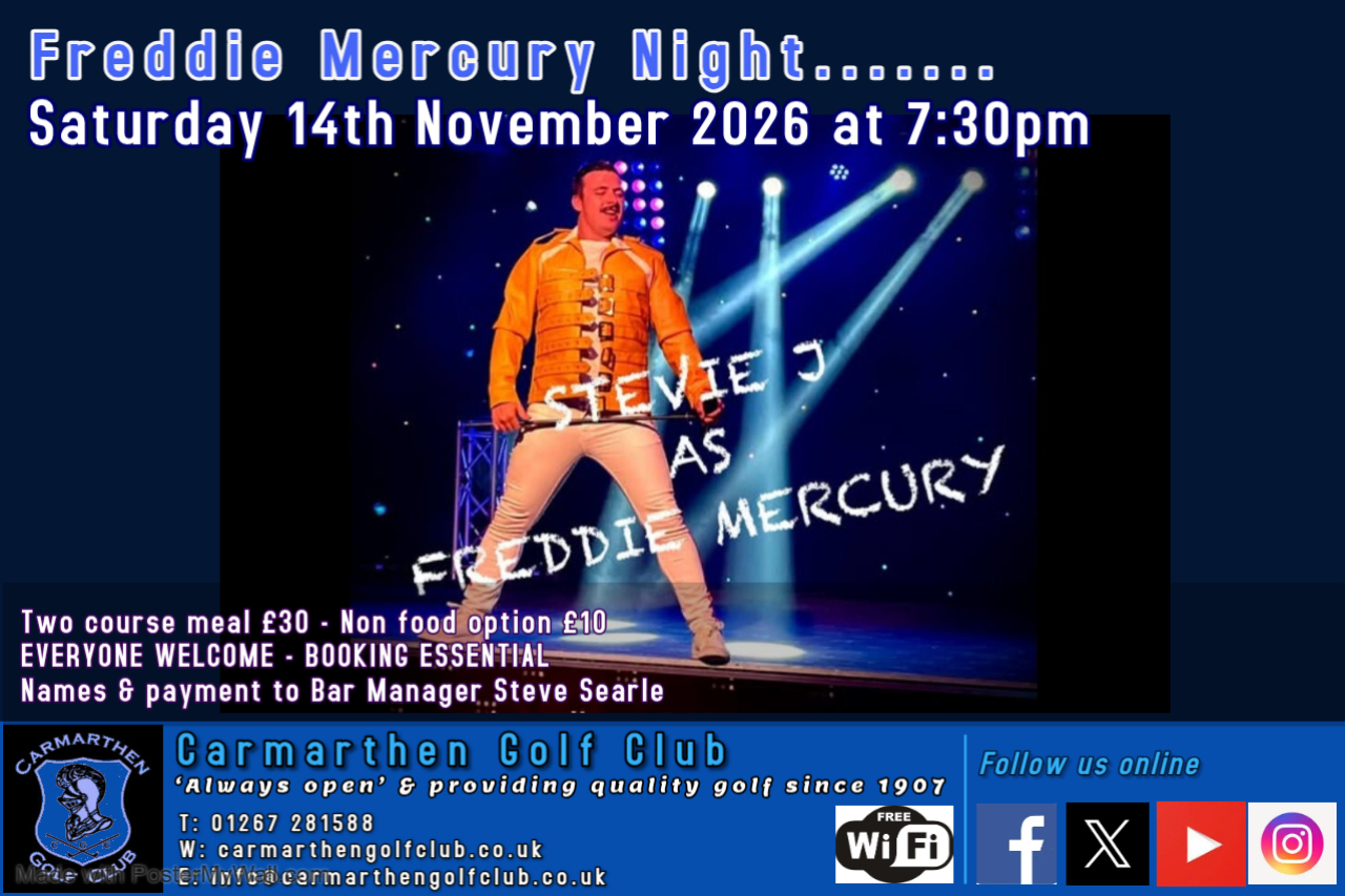 Freddie Mercury Poster V1 1